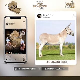 Burro (Shrek) - Stickers for WhatsApp