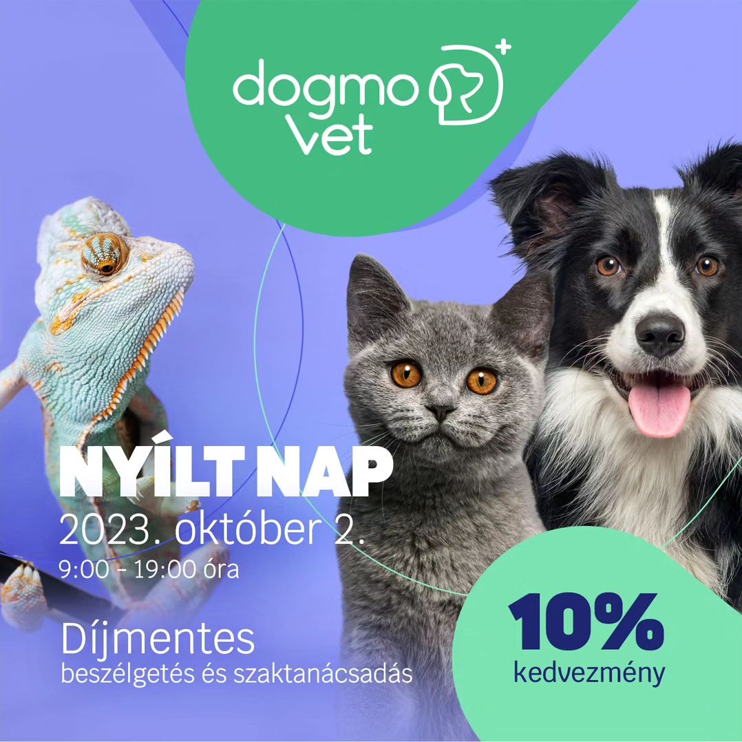 DogmoVet Állatorvosi Rendelő Nyílt Nap  Újonnan nyílt állatorvosi rendelőnk é...